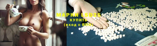 тгк Богданович