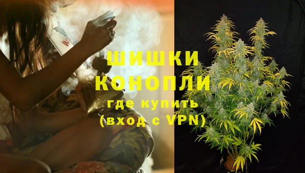 mdpv Белокуриха