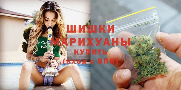 тгк Богданович