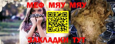 стаф Дубна