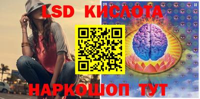 СК Донской