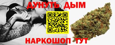 стаф Дубна