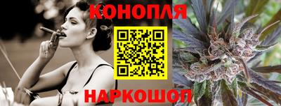 стаф Дубна
