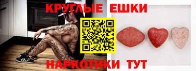 стаф Дубна