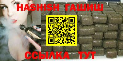 стаф Дубна