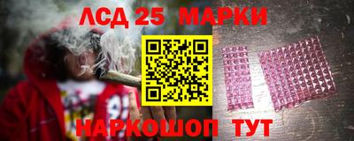 стаф Дубна