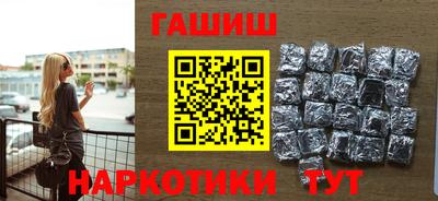 стаф Дубна