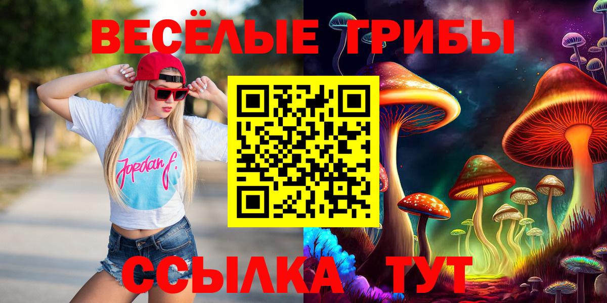 Кушва  купить   Псилоцибиновые грибы MAGIC MUSHROOMS  Вход с VPN  Псилоцибиновые грибы мицелий 