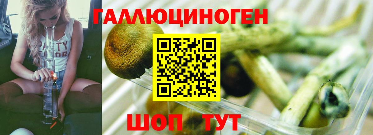 Псилоцибиновые грибы Magic Shrooms Кушва